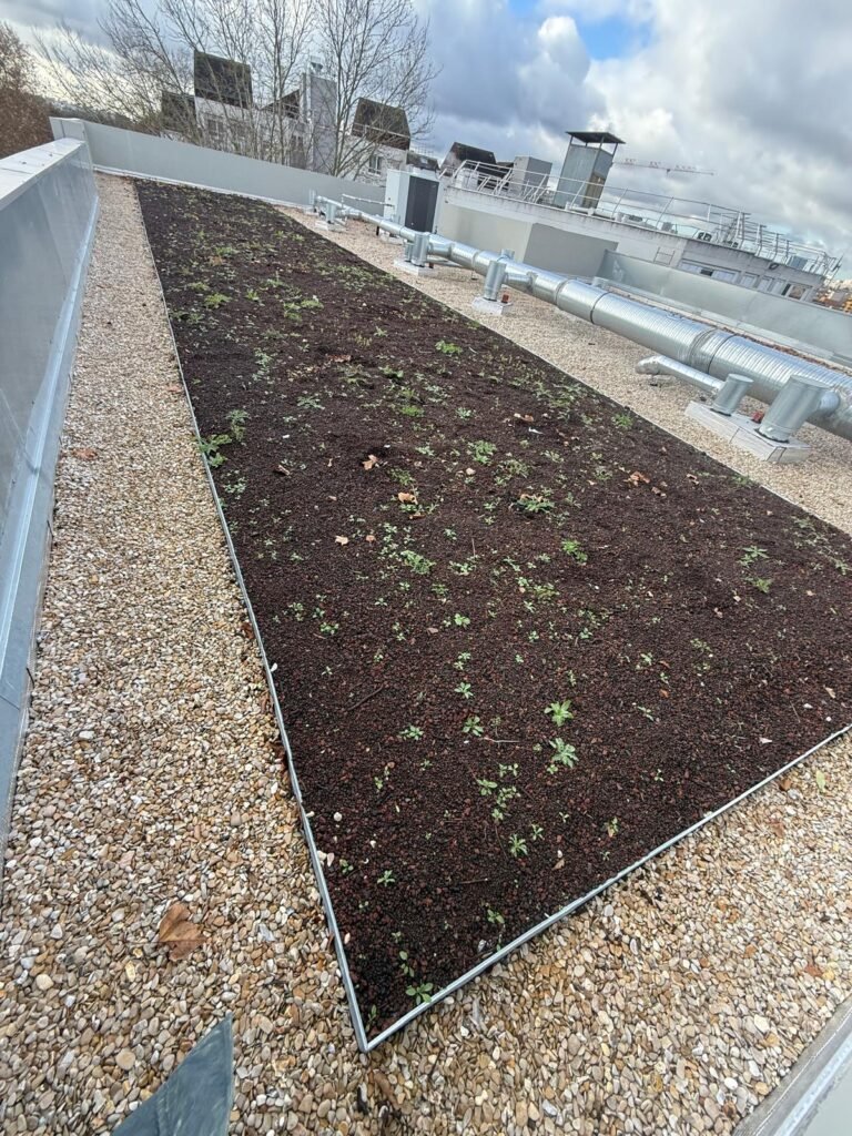 Toiture végétale réalisé chez un particulier dans le Val d'oise